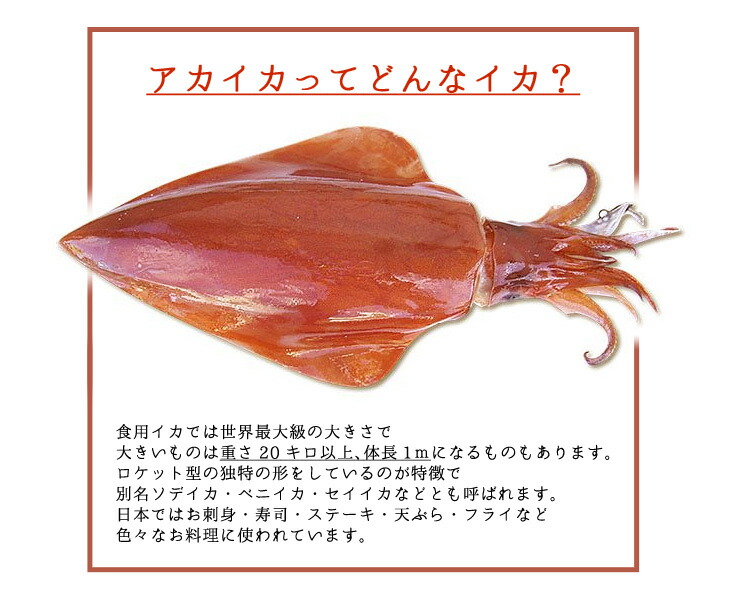 アカイカ お刺身用 スライス 140g(20切入) [アカイカスライス]