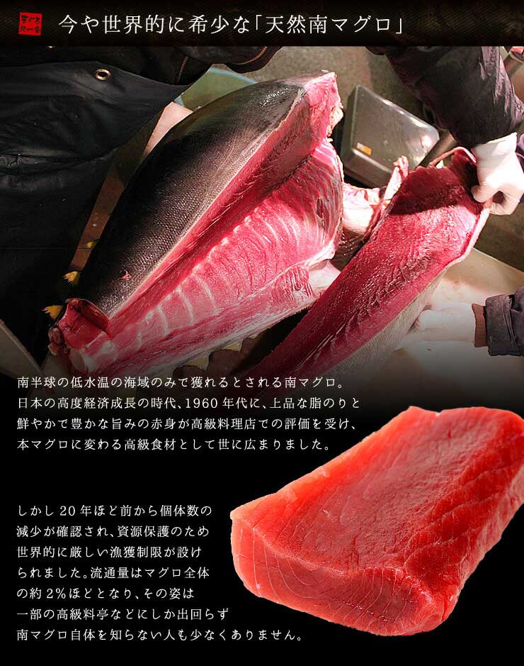 天然 南マグロ 赤身 500g 4～5人前 希少な天然物 不定形サク詰合せ 血合い処理済み 可食部ほぼ100% 解凍レシピ付 [天然南マグロ赤身500g]