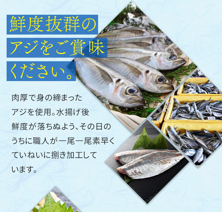 国産 アジのタタキ 1kg(250g×4パック) [アジたたき250g-4p]