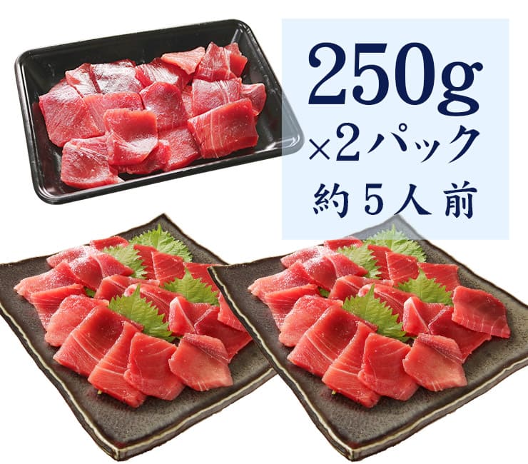 天然 南マグロ 切り落とし 500g（250g×2パック） 希少な天然南まぐろ [天然南マグロ切落し250g-2p]