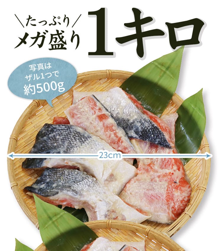訳あり 紅鮭 西京漬け 1kg (500g×2パック) [訳あり紅鮭西京漬500g-2p]