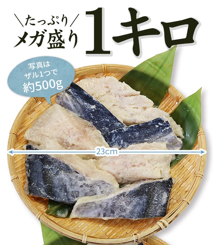 訳あり さわら 西京漬け 1kg (500g×2パック) [訳ありサワラ西京漬500g-2p]超速（ちょうそく）発送 1-3営業日以内に発送予定 土日祝除く