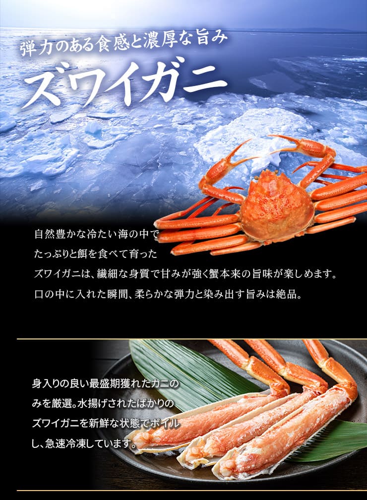 ボイルずわい蟹 脚2kg（5~8肩） [ボイルズワイ蟹脚2kg]