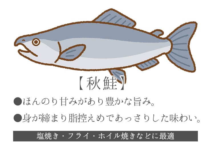 秋鮭 骨取り切り身 30g×20切れ チャック袋入 無塩 バラ凍結 加熱用 [サケ骨取り切り身]