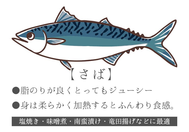 サバ 骨取り切り身 30g×20切れ 加熱用 無塩 バラ凍結 チャック袋入 [さば骨取り切り身]