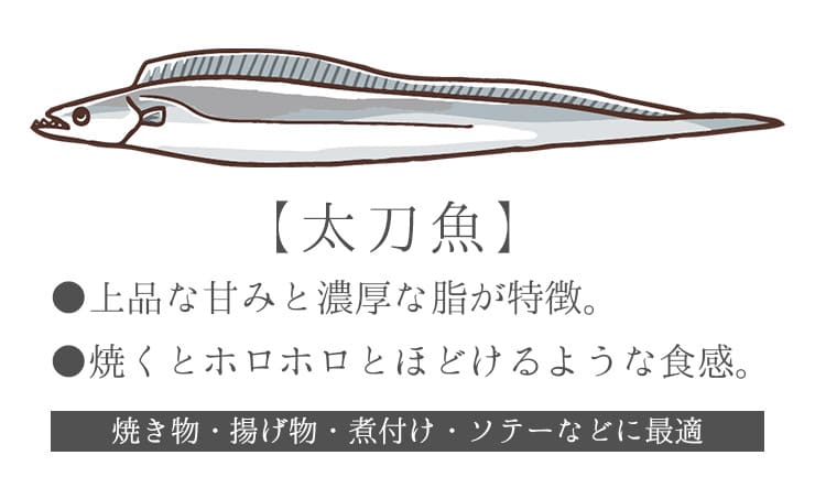 タチウオ 骨取り切り身 30g×20切れ 加熱用 無塩 バラ凍結 チャック袋入 [タチウオ骨取り切り身]