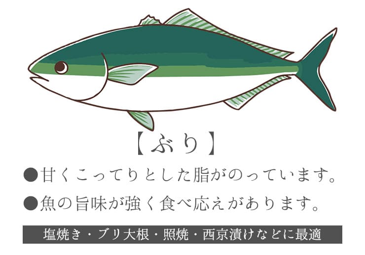 ぶり 骨取り切り身 30g×20切れ 加熱用 無塩 バラ凍結 チャック袋入 [ぶり骨取り切り身]