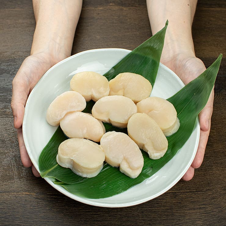 平貝 貝柱 500g 8～10玉 中国産 お刺身用 [平貝500g]