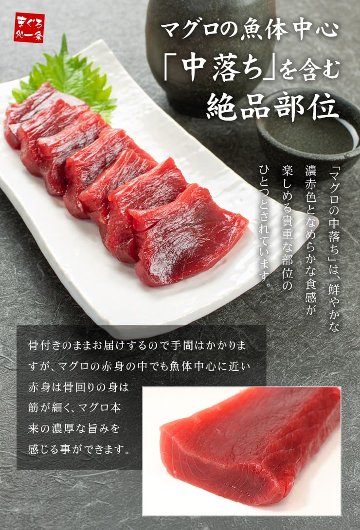 訳あり 天然 南マグロ 赤身 1kg 骨付き･形不揃い [天然ミナミ鮪訳あり赤身1kg]超速（ちょうそく）発送 1-3営業日以内に発送予定 土日祝除く