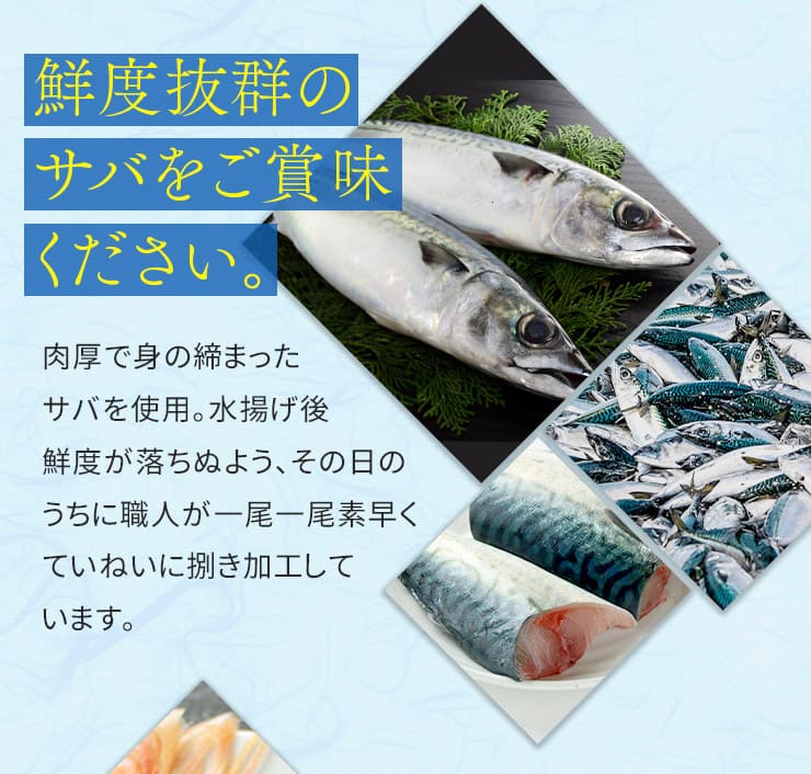 国産 さばのタタキ 1kg(250g×4パック) [さばタタキ250g-4p]超速（ちょうそく）発送 1-3営業日以内に発送予定 土日祝除く