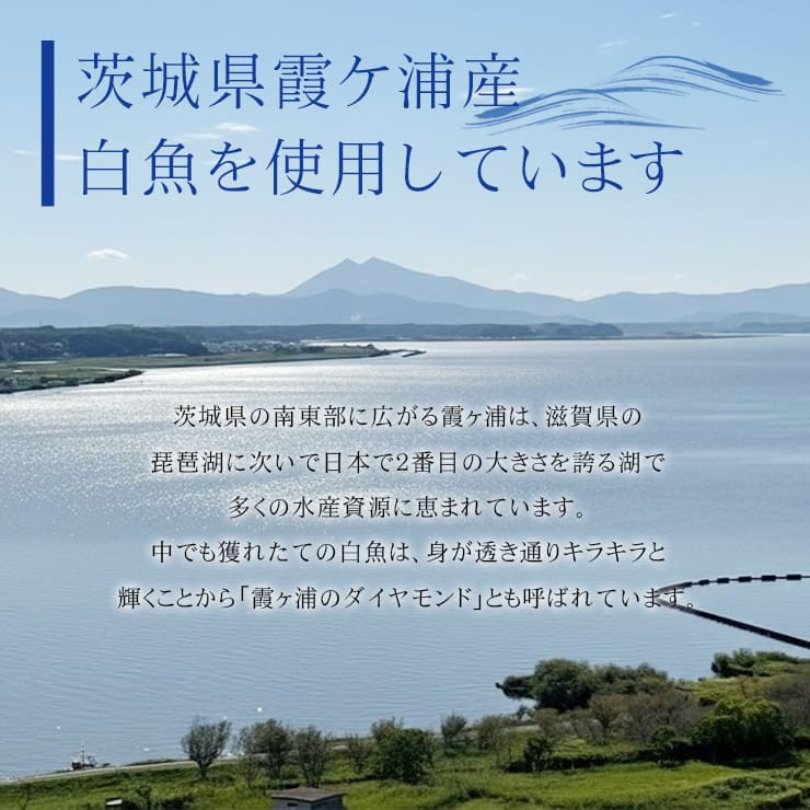 茨城県産 白魚 しらうお 200g お刺身用 [白魚200g]