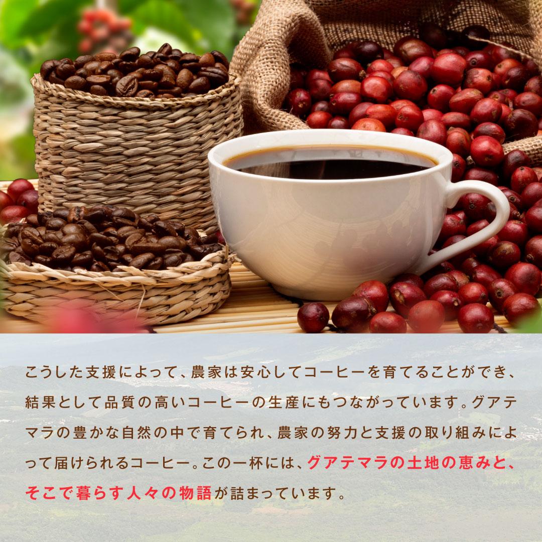 澤井珈琲 香り良くすっと飲める グアテマラ サステナブルコーヒー 200g×2袋 豆のまま