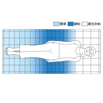 エアウィーヴ 四季布団 和匠 セミダブル 1-280021-1 ワインレッド