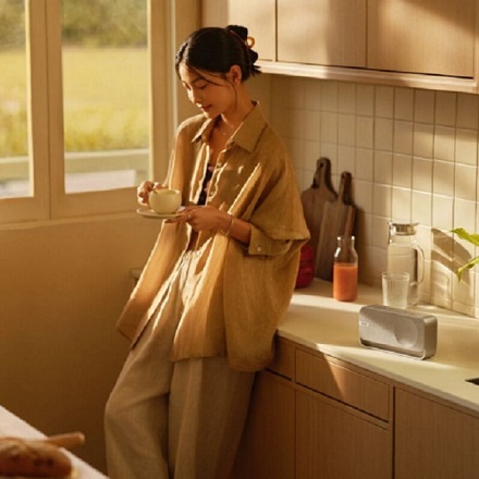Bose SoundLink Home Bluetooth Speaker ライトシルバー SLink Home BT SP SLV