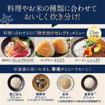 象印 圧力IH炊飯ジャー 炎舞炊き 5.5合 NX-AA10-BZ クロ