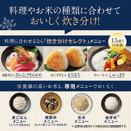 象印 極め炊き 炎舞炊き 10合 NX-AA18-WZ シロ