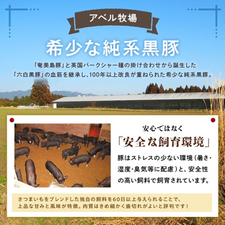 無塩せき ウインナー 120g×8袋 ( 24本 )