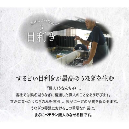 浜名湖うなぎ蒲焼ハーフカット3袋