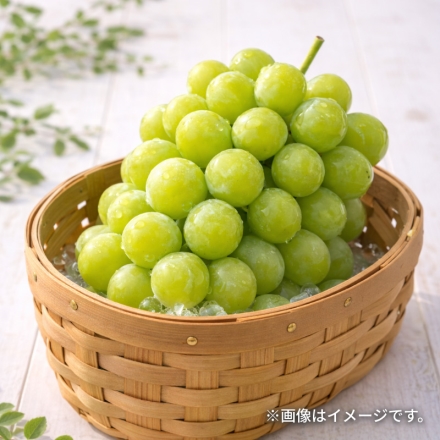 シャインマスカットとナガノパープル2.5ｋｇ