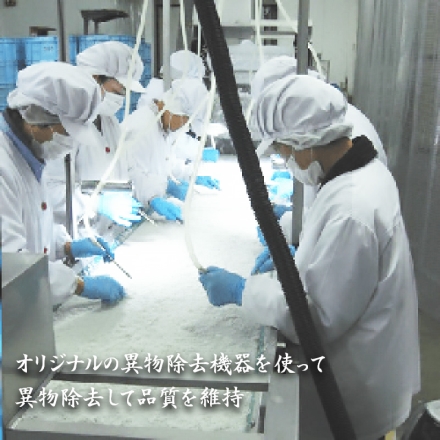 しらす干し 1ｋｇ