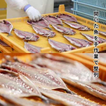 シーボーン昭徳の天日干し詰合せ 真あじ開き360g(6枚)、真さば片身180g(2枚)、かます開き160g(2枚)、連子鯛開き180g、剣先いか開き80g