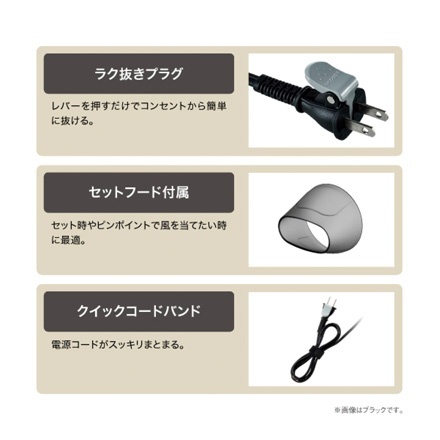 TESCOM プロテクトイオンヘアドライヤー ホワイト TD570A