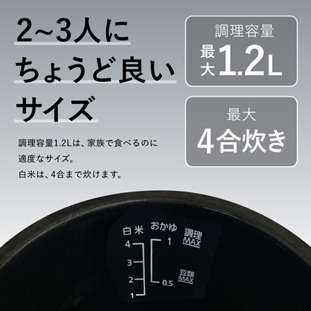 Re・De Pot 電気圧力鍋 2L ブラック