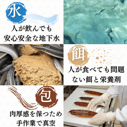 鹿児島県 楠田のきざみ うなぎ 70g×8袋