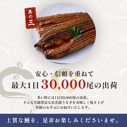 浜名湖 うなぎ 真空長白焼(大)2枚入り