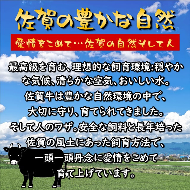 艶さし 佐賀牛 A4～A5 サーロイン ステーキ セット 500g (250gx2枚)