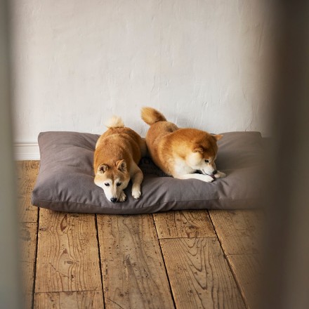 コージーベッド チャコール