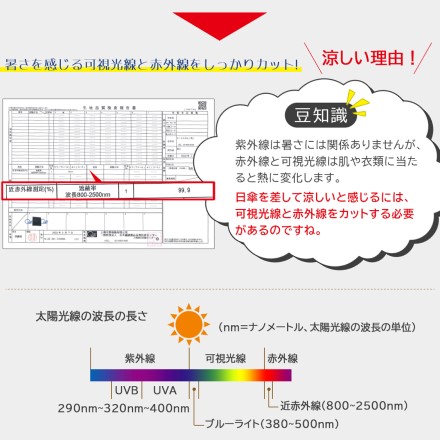 男女兼用 安全装置付 完全遮光日傘 グレー