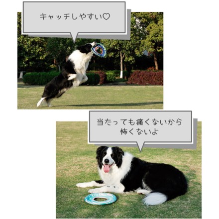 M-PETS SPRINTPUFF FRISBEEトイ PINK&GREEN