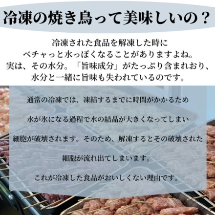 鹿児島県 やまさきの焼き鳥 簡単調理 5種盛 25本 たれ味×3セット しお味×2セット