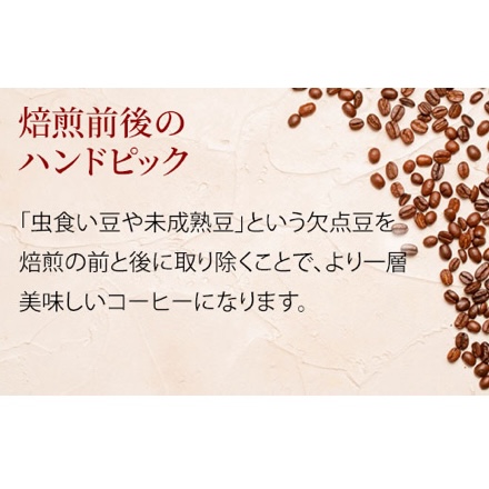 スペシャルティコーヒー豆焙煎度違い3種セット 600g 200g×3種 粉