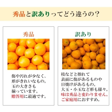 訳あり 愛媛みかん 大玉 9kg（L～3Lサイズ）50個から70個程度