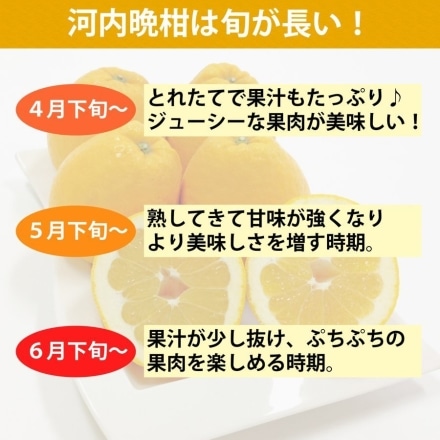 愛媛産 河内晩柑 秀品 7.5kg