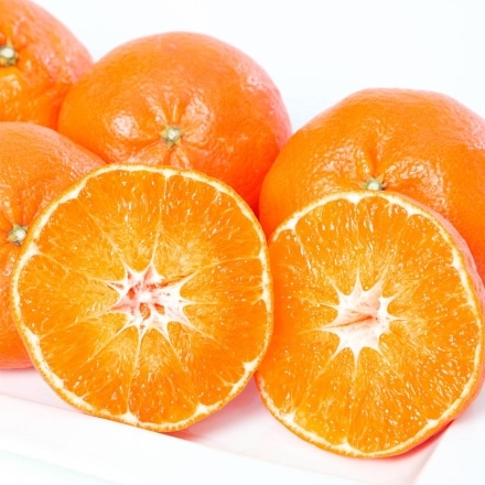 【2025年2月下旬頃より出荷予定】訳あり せとか 甘平 食べ比べセット 各1.5kg 計3kg