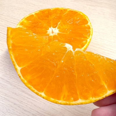 【2026年3月上旬より順次出荷】注目の新品種！紅プリンセスと同品種「愛媛果試48号」 秀品 2kg