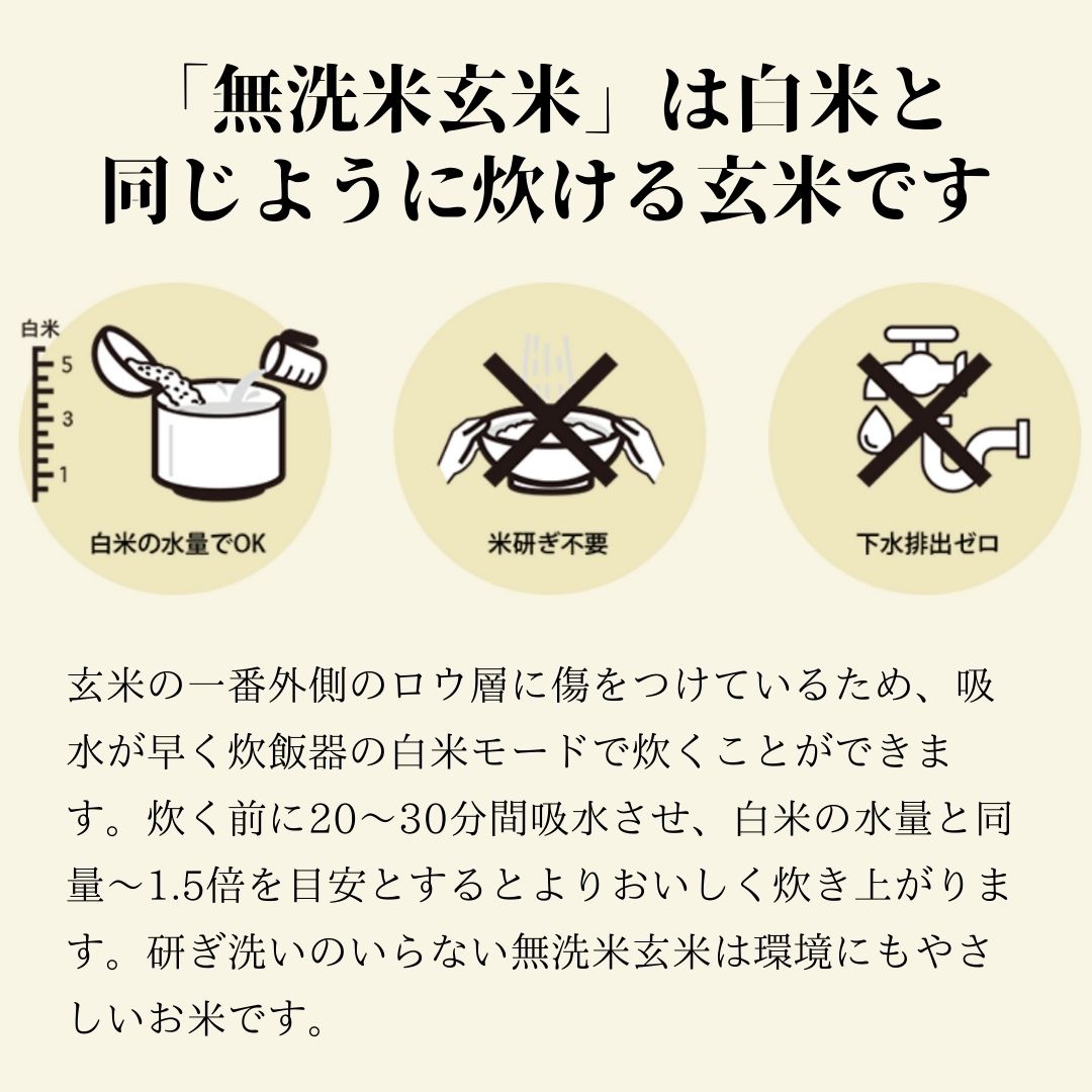 スマート米 山形県産 はえぬき 無洗米玄米 5.0kg×2袋セット 節減対象農薬50%以下 令和6年産