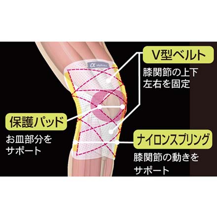 膝サポーター お医者さんのがっちり膝ベルト S-M