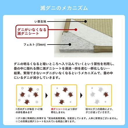 イケヒコ・コーポレーション 滅ダニ 置き畳 82×82×1.8cm 4枚組