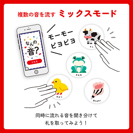 音カルタ 知育玩具 FDC