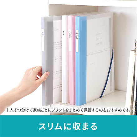 SEPAL らくわけファイル A4サイズ 書類整理 ブルー FDC