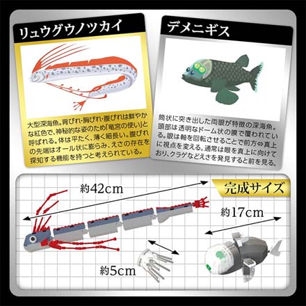 ブロック 知育玩具 深海魚 180mm×250mm×50mm