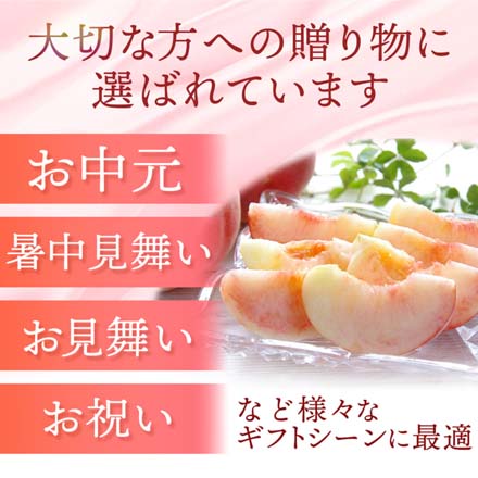 訳あり 福島県産 桃 約 4.7kg 東北ECグローバル