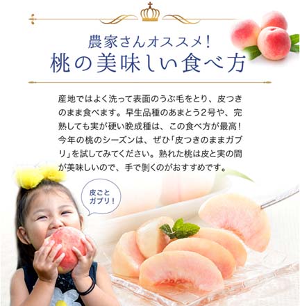 福島県産 桃 光センサー 特秀品 約 2.7kg 東北ECグローバル
