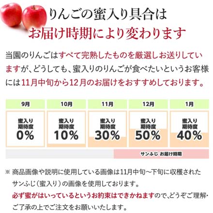 訳あり 長野県産 葉とらずふじりんご 10kg 東北ECグローバル