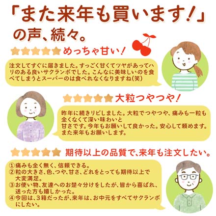 山形県産 さくらんぼ 佐藤錦 紅秀峰 秀品 表面並べ詰め 500g 東北ECグローバル