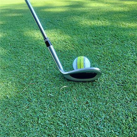 リンクス HG ウェッジ リンクスオリジナル スチールシャフト LYNX ハイグラビティ 高重心 56度 10度